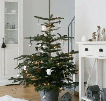 galvanized metal christmas bucket